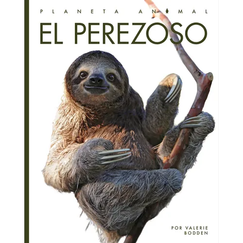 El Perezoso