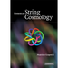 Elements of String Cosmology