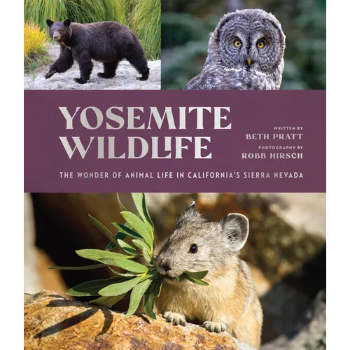 Yosemite Wildlife: The Wonder of Animal Life in California's Sierra Nevada