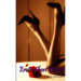 Erotic Short Stories