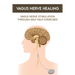 Vagus Nerve Healing: Vagus Nerve Stimulation Through Self Help Exercises: Vagus Nerve Branches