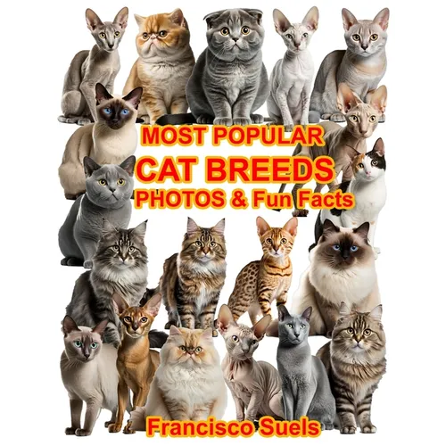 Most Popular Cat Breeds Photos Fun Facts