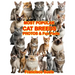 Most Popular Cat Breeds Photos Fun Facts