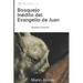 Bosquejo del Evangelio de San Juan: Una ayuda verso a verso para crecer