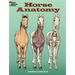 Horse Anatomy Coloring Book