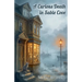 A Curious Death in Sable Cove