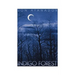 Indigo Forest