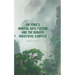 Jin Yong's Martial Arts Fiction and the Kungfu Industrial Complex