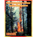 Forest Interpreter's Primer on Fire Management