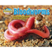 Bloodworms and Other Wriggly Beach Dwellers