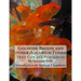 Goldfish Breeds and other Aquarium Fishes: Their Care and Propagation