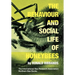 The Behaviour and Social Life of Honeybees