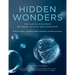 Hidden Wonders: The Subtle Dialogue Between Physics and Elegance