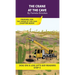 The Crane at the Cave: Short Decodable Books Prepare Students for Reading DOG ON A LOG Decodable Chapter Books. For Beginning Readers and Students wit