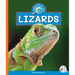 Lizards