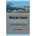 When Sex Causes Heartbreak: What Every Wife Should Know About Affairs, Pornography & the Sexless Marriage