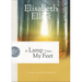 A Lamp Unto My Feet: The Bible's Light for Your Daily Walk