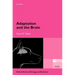Adaptation and the Brain