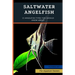Saltwater Angelfish: 15 Angelfish Types You Should Know About