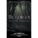 The Gorgon and the Stranger