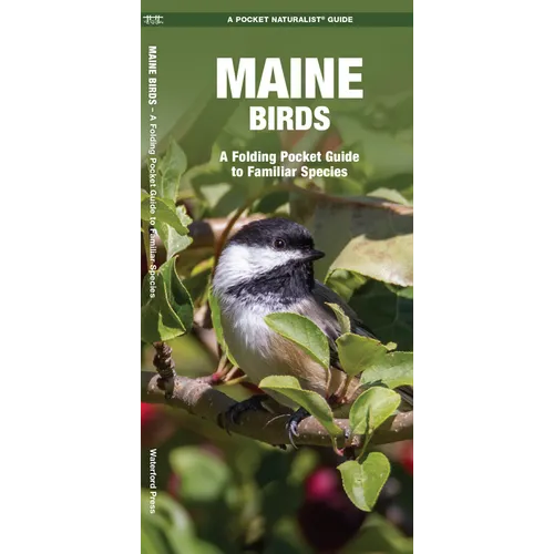 Maine Birds: A Folding Pocket Guide to Familiar Species