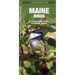 Maine Birds: A Folding Pocket Guide to Familiar Species