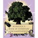 Bonadea's Book of Everyday Enchantments