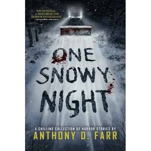 One Snowy Night