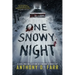 One Snowy Night