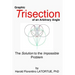 Graphic Trisection of an arbitrary angle: The FLatortue Method Solution to the 'impossible problem'