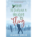 How to Survive a Holiday Fling