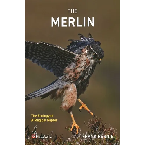 The Merlin: The Ecology of a Magical Raptor