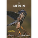 The Merlin: The Ecology of a Magical Raptor