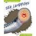Sea Lampreys