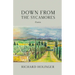 Down from the Sycamores: Poems
