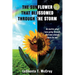 The Sunflower That Blossomed Through The Storm