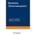 Quantum Electrochemistry