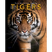 Tigers: Amazing Pictures & Fun Facts on Animals in Nature