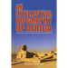 An Intellectual Biography of Africa: A Philosophical Anatomy of Advancing Africa the Diopian Way