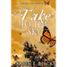 Take to the Sky
