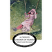 A Child's Garden of Verses