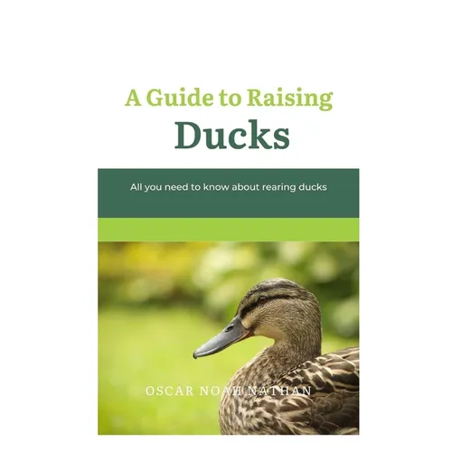 A Guide to Raising Ducks: All you need to know about rearing duck