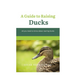 A Guide to Raising Ducks: All you need to know about rearing duck