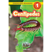 Centipedes: Backyard Bugs and Creepy-Crawlies (Engaging Readers, Level 1)