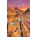 The Icarus Boy