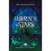 Labyrinth of Stars: Dreamrealm Mysteries 2