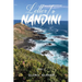 Letter to Nandini