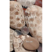 Polishing the Petoskey Stone: Selected Poems