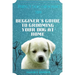 Perfect dog grooming tips: Beginner's guide to grooming your dog at home