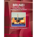Brunei Energy Policy, Laws and Regulations Handbook - Strategic Information and Regulations